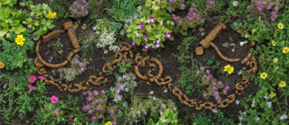 Decaying Shackles in A Garden
